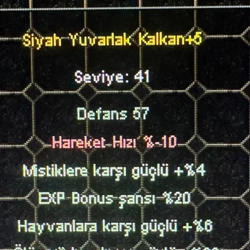  20 EXP BONUSLU İTEM